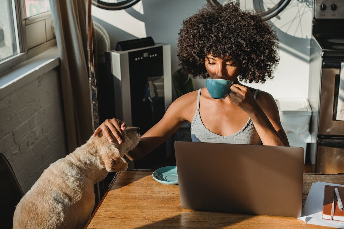 A woman uses smart home voice control features in front of a laptop while drinking coffee and petting a small dog. The room is full of sunshine and neutral colors.